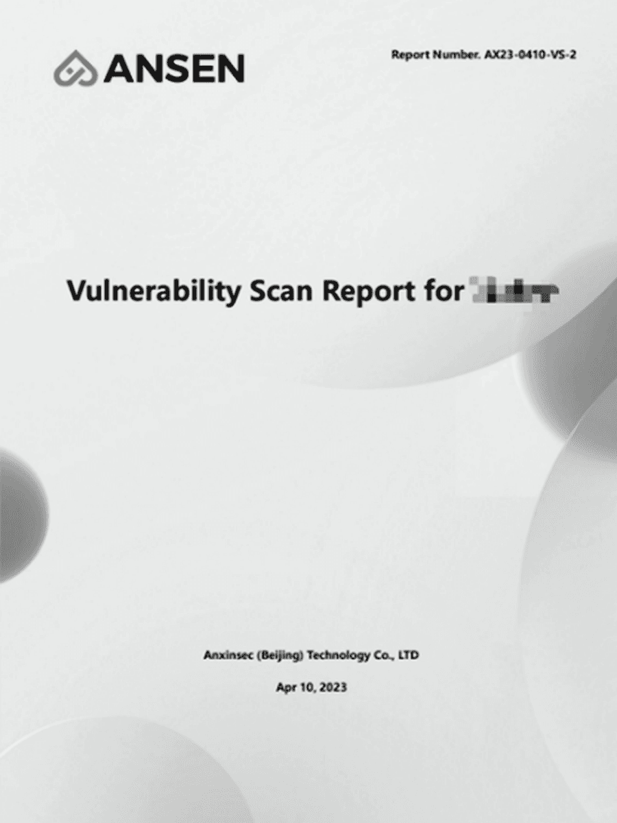 Surface de rapport de vulnérabilités en niveaux de gris utilisée comme preuve de service.